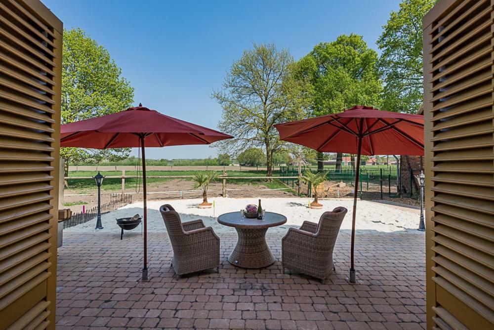 Ferienwohnungen Und Zimmer Hof Holtmann Munster  Extérieur photo